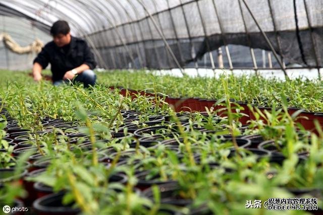 首届中医药农业技术与中药材品质提升及病虫害防治技术专题研讨会