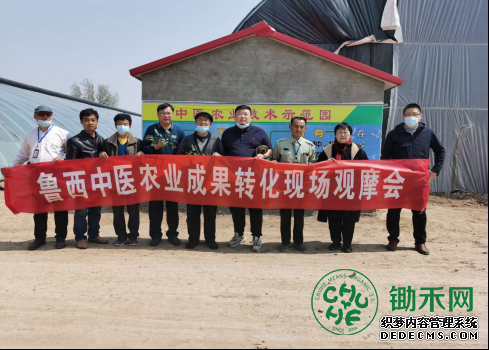 046刘若帆秘书长考察中医农业基地(1)(1)505.png