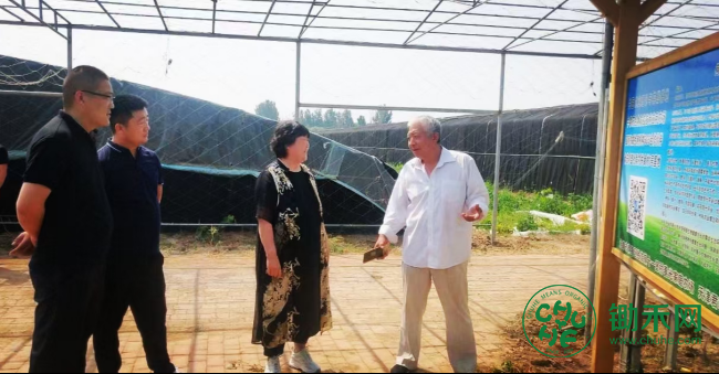 天津中医农业技术应用落地有声658.png