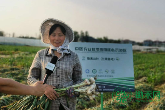 兰陵大蒜观摩会111733.png