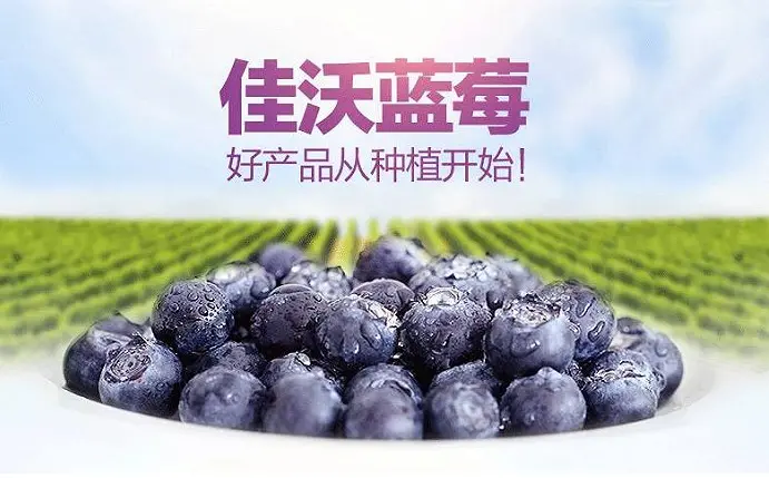 图源：佳沃官网